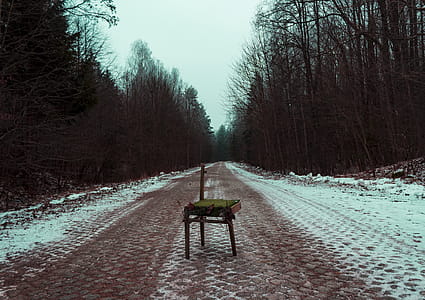 Photography of broken brown chair in the Middle of Road Surrounded by Trees thumbnail