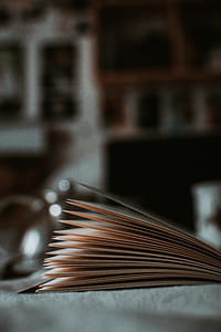 Opened Book thumbnail