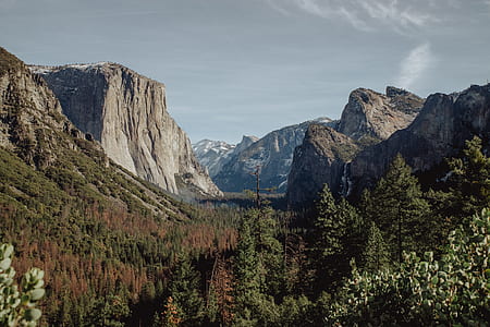 aerial photography of trees and rock cliff under blue sky at daytime thumbnail