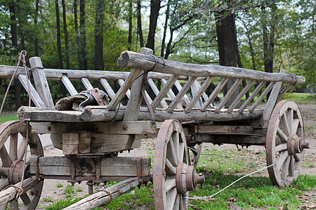 brown wooden carriage parked in the woods thumbnail
