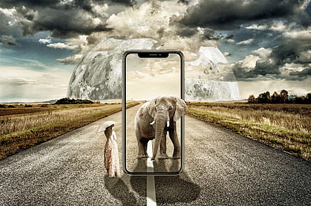 gray elephant standing beside woman holding umbrella smartphone advertisement photo thumbnail