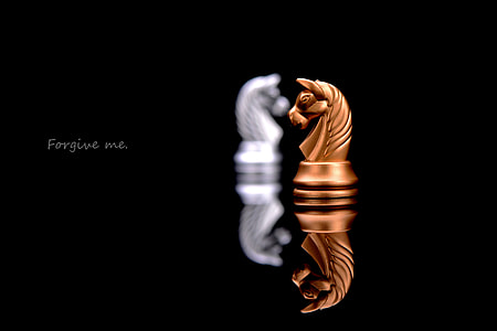 close up photo of brown horse chess piece with forgive me text overlay thumbnail