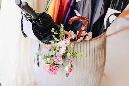pink petaled flowers beside the umbrella thumbnail