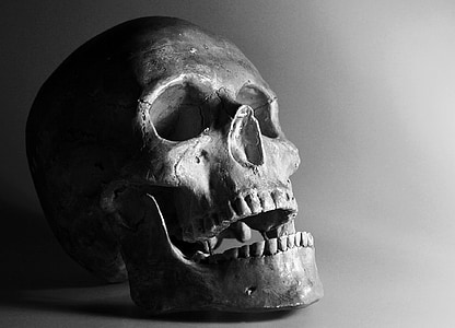 gray skull in close-up photography thumbnail