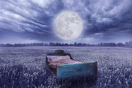 brown bed frame on the field with full moon thumbnail