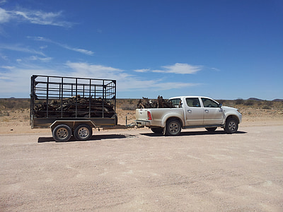 white pickup truck with black trailer during daytime thumbnail