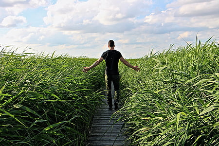 man walking on pathway surrounded by grass thumbnail