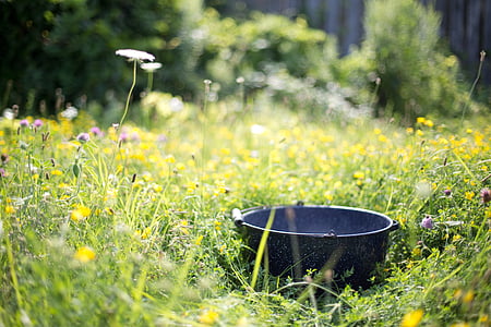 cauldron on bed of flowers thumbnail