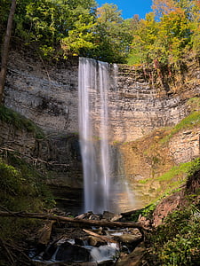 waterfalls in forest at daytime thumbnail