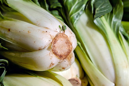 Chinese cabbage thumbnail