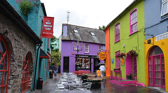 houses next to wet road thumbnail