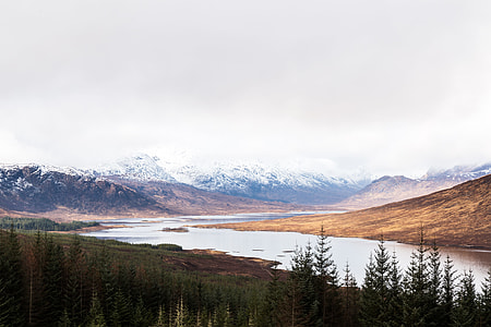 view of trees, lake and mountains thumbnail
