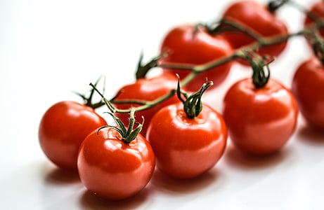 red tomatoes thumbnail