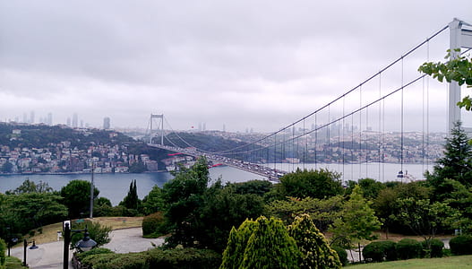 white suspension bridge connecting city and downtown thumbnail