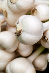 close-up photo of garlic thumbnail