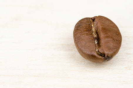 brown nut on top of white board thumbnail