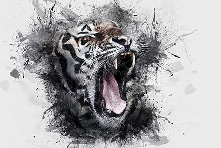 bengal tiger illustration thumbnail