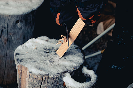 person standing near tree log thumbnail