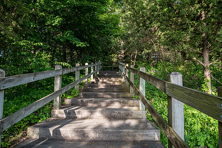 Steps on the Trail thumbnail