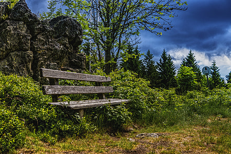 brown wooden bench beside bush under dark clouds during daytime thumbnail