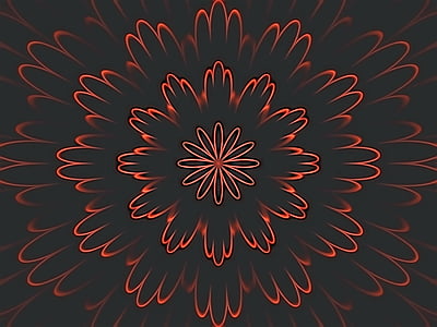 red flower digital wallpaper thumbnail