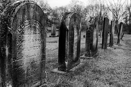 grayscale photo of tombs thumbnail