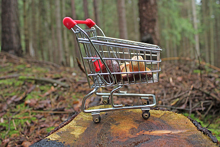 selective focus photography of small shopping cart on top of wood slab thumbnail