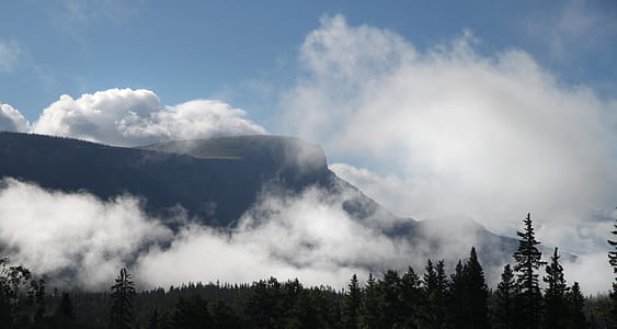 Silhouette of Trees and Mountain With White Clouds during Daytime thumbnail