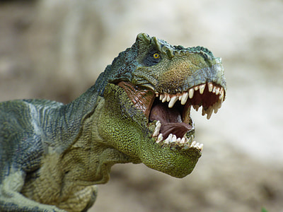 green t-rex macroshot photography thumbnail