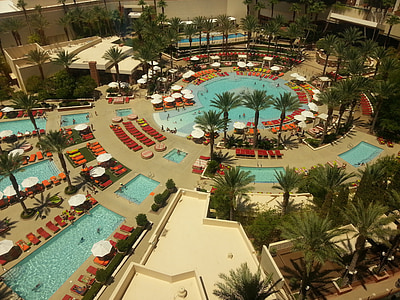 aerial photo of swimming pool surrounded plants thumbnail