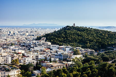 city beside a hill with forest thumbnail