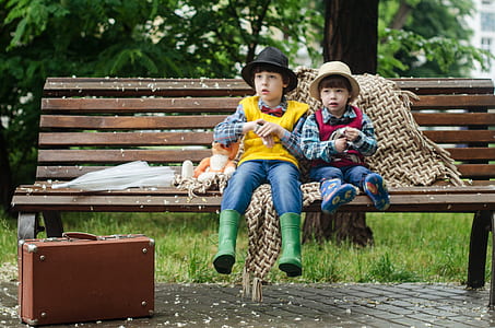 two toddler boys sitting on beanch at daytime thumbnail