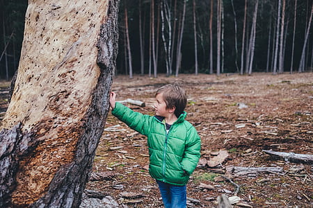 standing boy touching tree trunk at daytime thumbnail