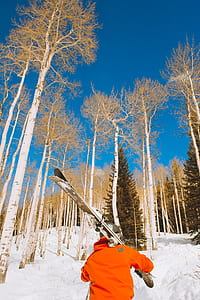 person wearing orange jacket carrying snowboard board while talking towards tall trees during daytime thumbnail
