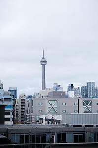 photography of CN Tower thumbnail