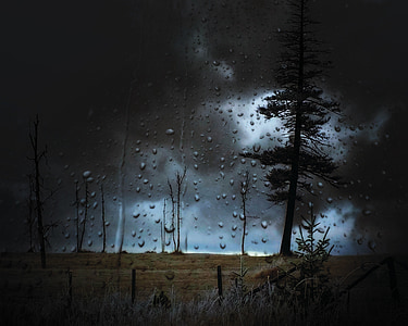 clear glass with water droplet and a background of field and tree thumbnail