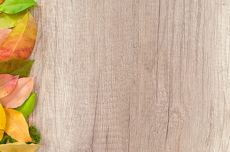 Brown Wooden Board thumbnail