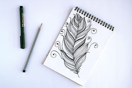 Spring Book With Feather Sketch thumbnail