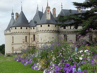 purple and white petaled flowers beside gray castle thumbnail