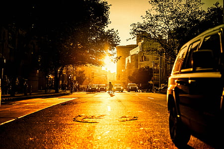 person walking on road near cars during golden hour thumbnail