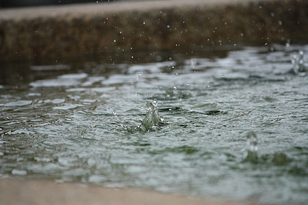 selective focus photography of green body of water thumbnail