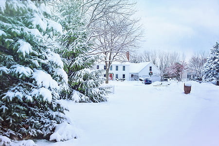 white house during winter thumbnail