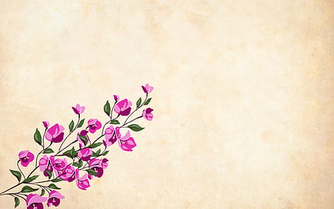 Single branch of plant with many pink flowers. thumbnail