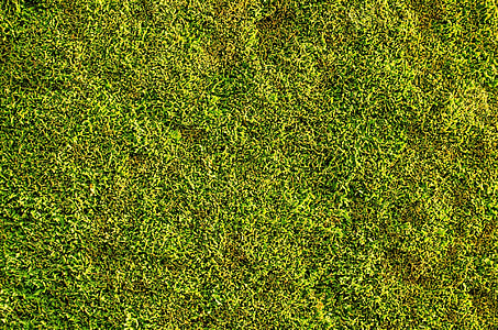 aerial photography of green grass field thumbnail