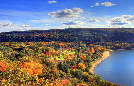 aerial photo of trees near body of water thumbnail