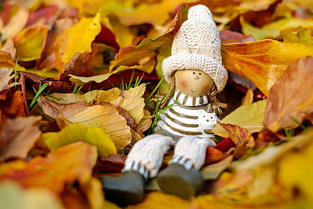 tilt shift lens photo of toy doll on dried leaves thumbnail