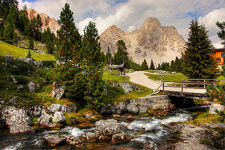 green trees surrounding river with bridge thumbnail