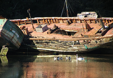 ducks in body of water beside ship thumbnail