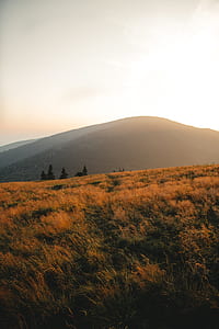 brown mountain during golden hour thumbnail