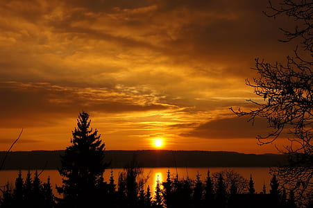 silhouette of pine trees beside a lake during sunset thumbnail
